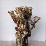 18" tall, Tasso's Oak